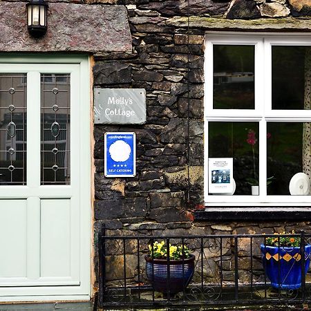 Mollys Cottage Glenridding Extérieur photo